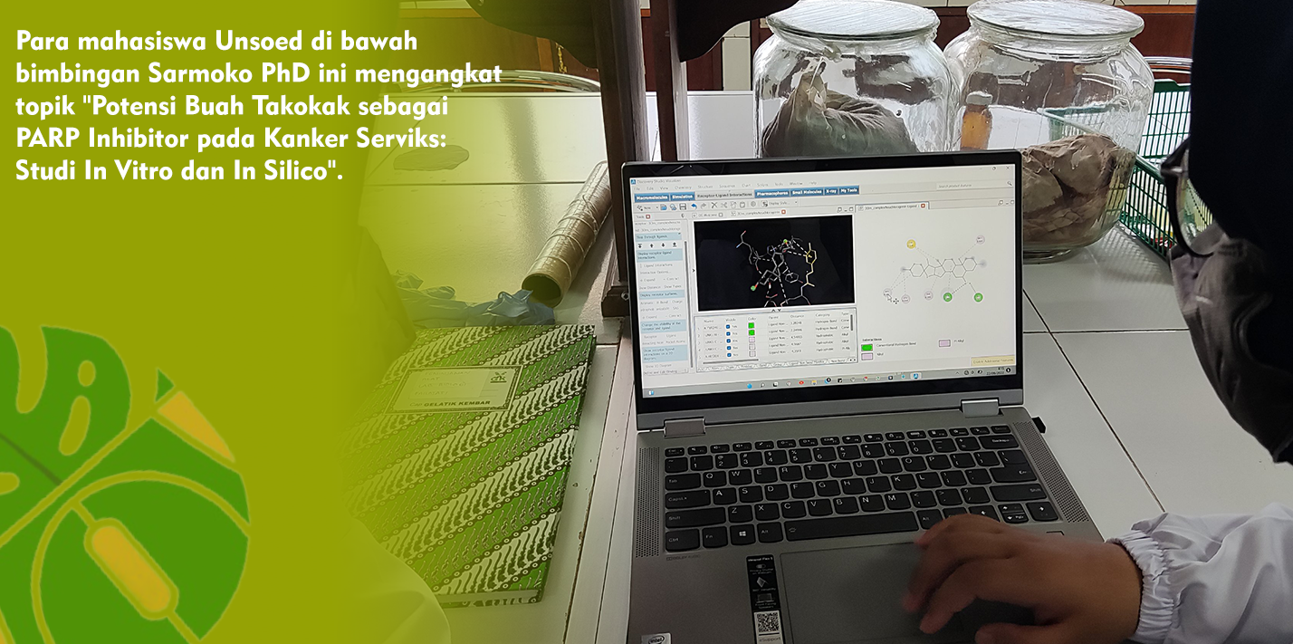 Potensi Buah Takokak Sebagai PARP Inhibitor Pada Kanker Serviks Potensi Buah Takokak Sebagai PARP Inhibitor Pada Kanker Serviks